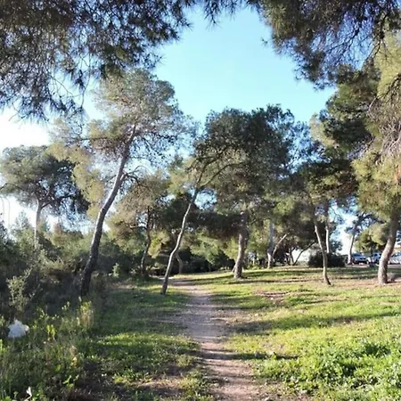 Casa Robles, Casa Independiente Con Piscina 펜션 Partida de La Cañada